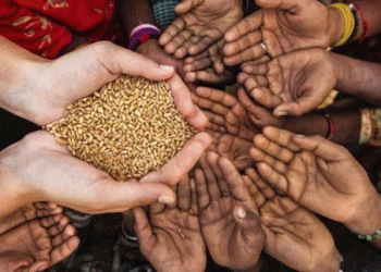Sri Lanka facing a food security crisis – FAO