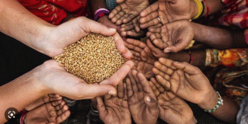 Sri Lanka facing a food security crisis – FAO
