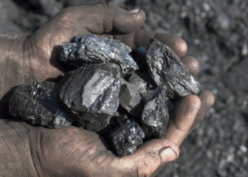 Coal procurement; tender awarded to unregistered company in 2022: COPE