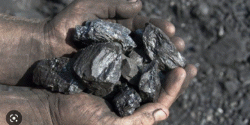 Coal procurement; tender awarded to unregistered company in 2022: COPE
