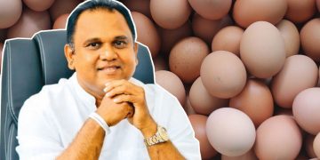There is no money for elections! But, import eggs next week on cash!(VIDEO)