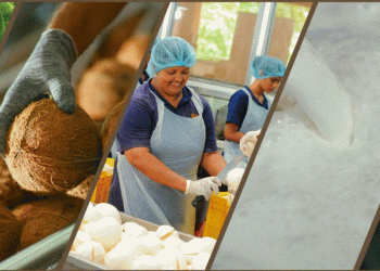 Nestlé Lanka receives carbon footprint verification for its upstream coconut value chain from the Sri Lanka Climate Fund