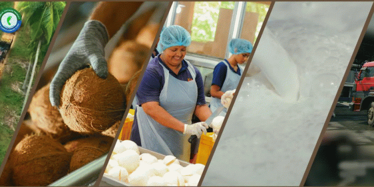 Nestlé Lanka receives carbon footprint verification for its upstream coconut value chain from the Sri Lanka Climate Fund