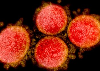 Another mysterious fatal disease! Currently there are 21 fatalities! Cannot find a cause!