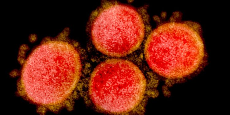Another mysterious fatal disease! Currently there are 21 fatalities! Cannot find a cause!