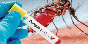 Sri Lanka reported 4100 dengue cases in 2023.