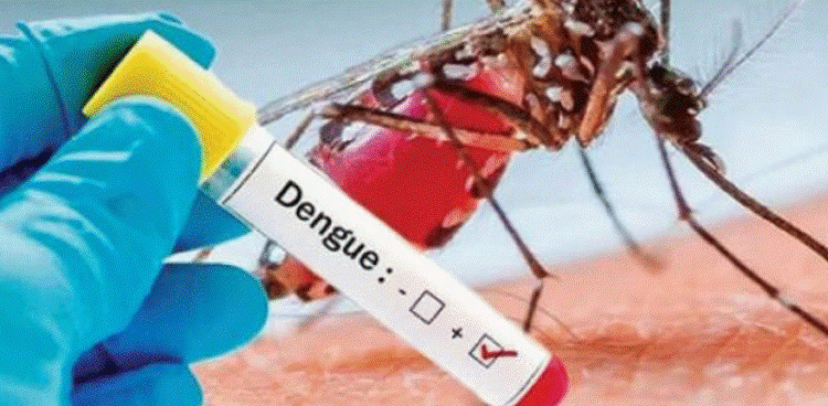 Sri Lanka reported 4100 dengue cases in 2023.
