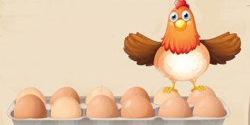 Cabinet nods for egg imports