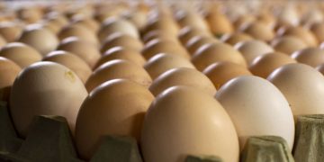 If Amaraweera doesn’t sell eggs at 40 starting Monday, boycott them ( Video)