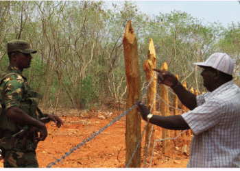 Over 100 acres of military-occupied land to be released before Feb 8