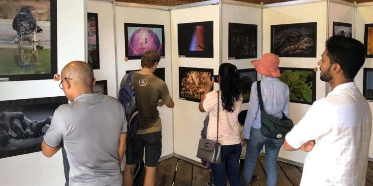 A wildlife photography exhibition at Horton Place, Colombo! (PHOTOS)