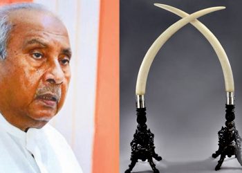 MP Gamini Lokuge and another individual claim ownership of two police-seized valuable tusks. The court will decide!