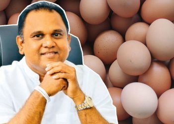 Eggs will be imported within two weeks to meet the demand – Minister