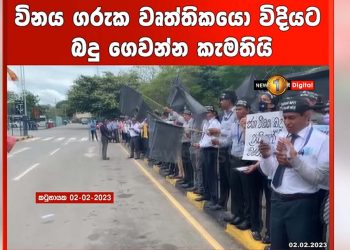 Can’t pay taxes to bank robbers! Professionals continue to demonstrate on the road! VIDEO