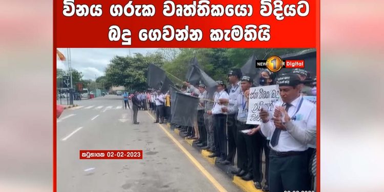 Can’t pay taxes to bank robbers! Professionals continue to demonstrate on the road! VIDEO