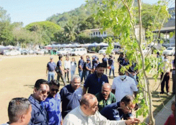 ComBank’s Central Region staff join Kandy’s tree planting drive