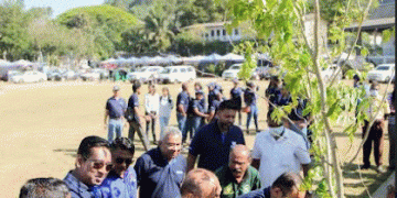 ComBank’s Central Region staff join Kandy’s tree planting drive