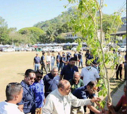 ComBank’s Central Region staff join Kandy’s tree planting drive