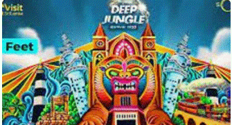 Deep Jungle Music Festival: ’Tourism Ministry and other big wigs had approved it despite harm to environment’ – Activist