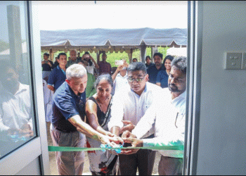 Hayleys Advantis supports mangrove regeneration: installs a pre-fabricated research lab under Advantis Blue Carbon Drive