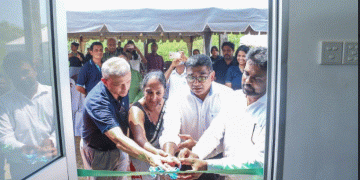 Hayleys Advantis supports mangrove regeneration: installs a pre-fabricated research lab under Advantis Blue Carbon Drive
