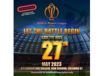 Those who meet in the forest have a chance to meet in the playing field on May 27! Put the camera aside and take a bat for that day. Come to the grounds!