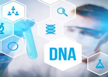 Sara’s DNA has been questioned.