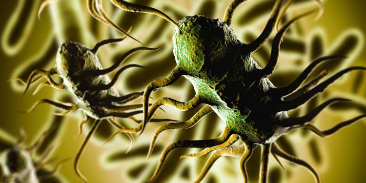 A new disease has entered Sri Lanka! The disease is known as ‘Listeria’! The first patient died today!