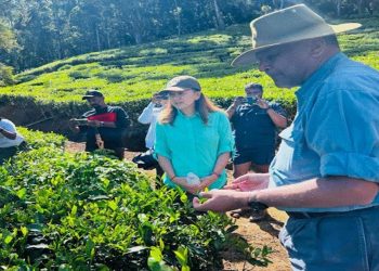 US Ambassador visits Hayleys Plantations’ Pedro Tea Estate: gains insights on innovation, industry challenges and future prospects