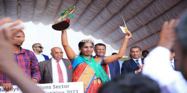 Hayleys Plantations Best Tea Harvester Competition returns; celebrates mastery and unwavering commitment to quality