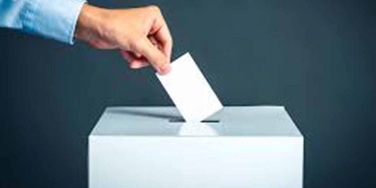 Postal voting in March! Ballot packets will be mailed on the 21st!