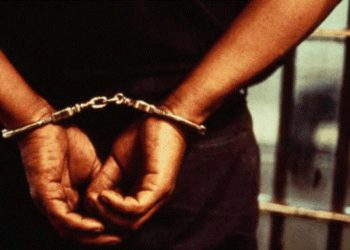 Police arrested 39 Chinese on suspicion of stealing money from other people’s bank accounts.