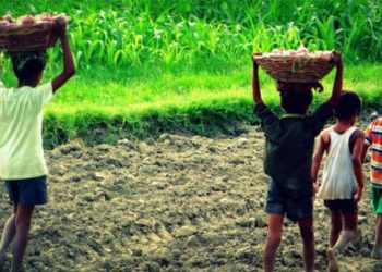 Financial stress has an impact on families! Few students fled their homes in search of work; their parents work as labourers during the day!