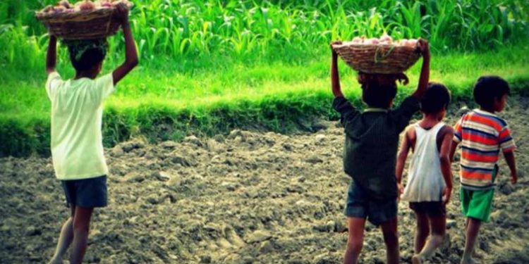 Financial stress has an impact on families! Few students fled their homes in search of work; their parents work as labourers during the day!