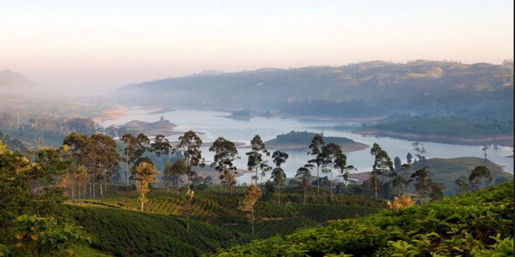 Emirates Skywards partners with Dilmah Tea to offer members exclusive tea-inspired experiences