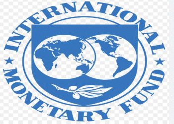 The IMF faces a nightmarish identity crisis