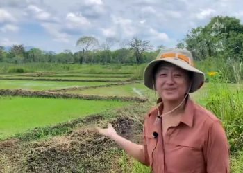 The American Ambassador visited paddy fields in Anuradapura! Look at how the United States’ TSP donation help farmers!
