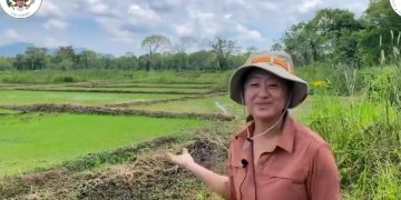 The American Ambassador visited paddy fields in Anuradapura! Look at how the United States’ TSP donation help farmers!