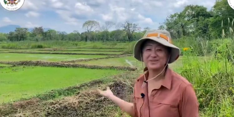 The American Ambassador visited paddy fields in Anuradapura! Look at how the United States’ TSP donation help farmers!