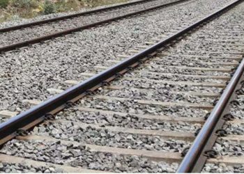 Sri Lanka will import Chinese railway tracks.
