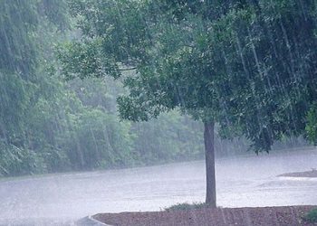 As the rains intensify, another heavy rain alert has been issued for 12 districts: Meteorology Dept.