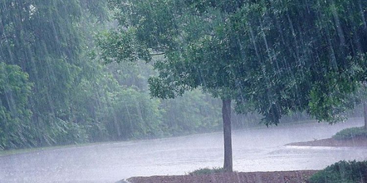 As the rains intensify, another heavy rain alert has been issued for 12 districts: Meteorology Dept.