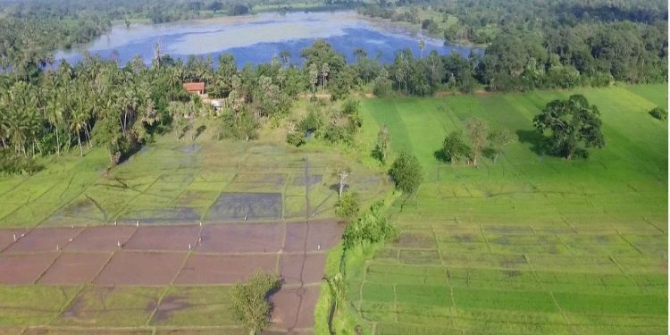 Sri Lanka aims to restore ancient irrigation tanks in climate change plan