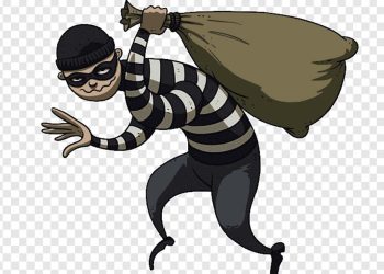 Fearing bank failure due to the country’s economic downturn, a woman withdrew Rs 15 lakhs and kept it under her pillow, only to be robbed.