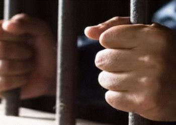 25 Chinese suspects are released on bail following an investigation into alleged online fraud.