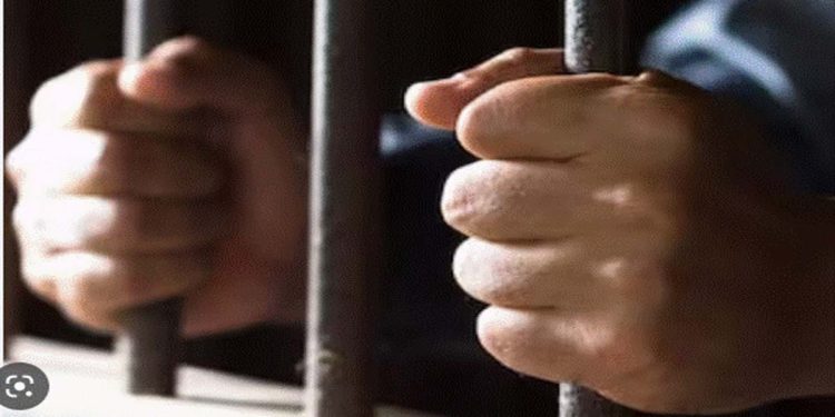 25 Chinese suspects are released on bail following an investigation into alleged online fraud.