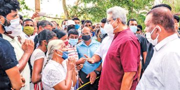 The country’s rice yield fell by 53% as a result of Gota’s ban on the use of chemical fertilisers during the Maha  season in 2021.