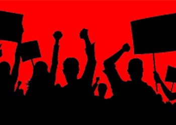 Today, the Tamil National Alliance has decided to hold a hartal in all districts of the North East.