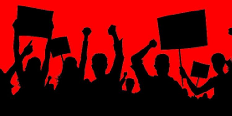 Today, the Tamil National Alliance has decided to hold a hartal in all districts of the North East.