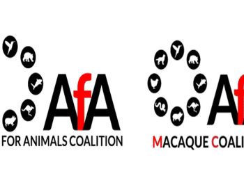 STATEMENT on the proposed export of toque macaques from Sri Lanka to China